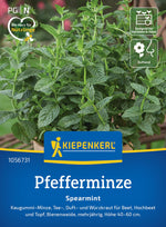 Kiepenkerl Pfefferminze Spearmint