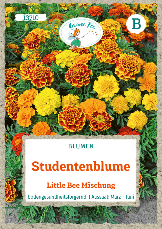 Grüne Fee Studentenblumen Bonita Mischung
