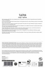 Premium Einfache Späte Tulpe Roi du Midi