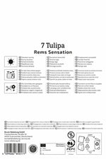 Triumph-Tulpe Rems Sensation