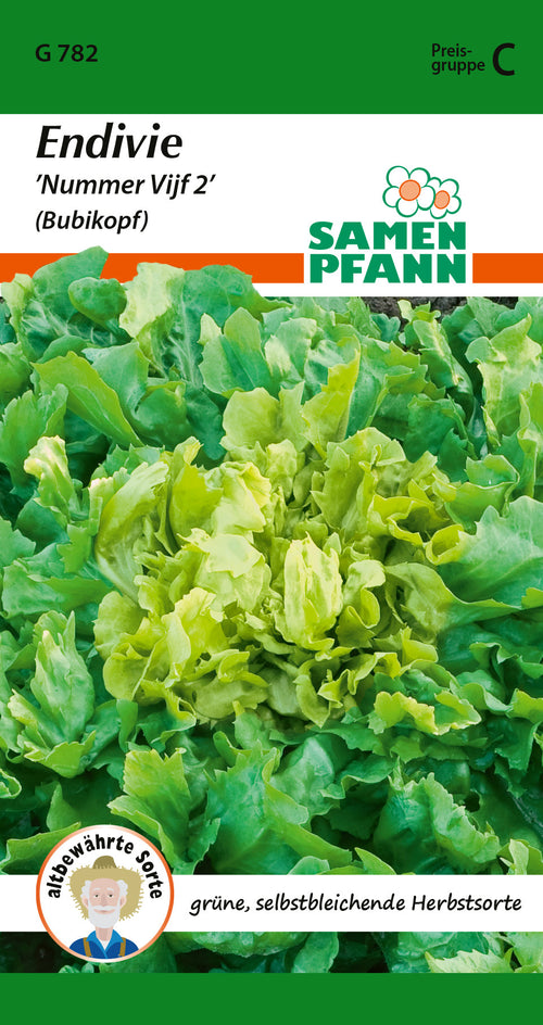 Samen Pfann Nummer Vijf 2 Endiviensalat