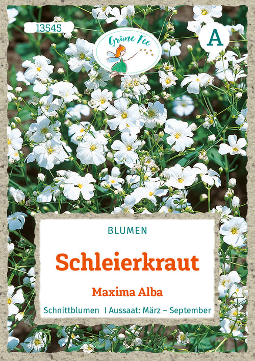 Grüne Fee Schleierkraut Maxima Alba