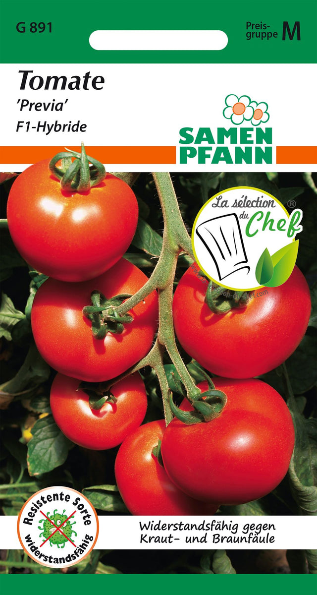 Samen Pfann Tomate Previa