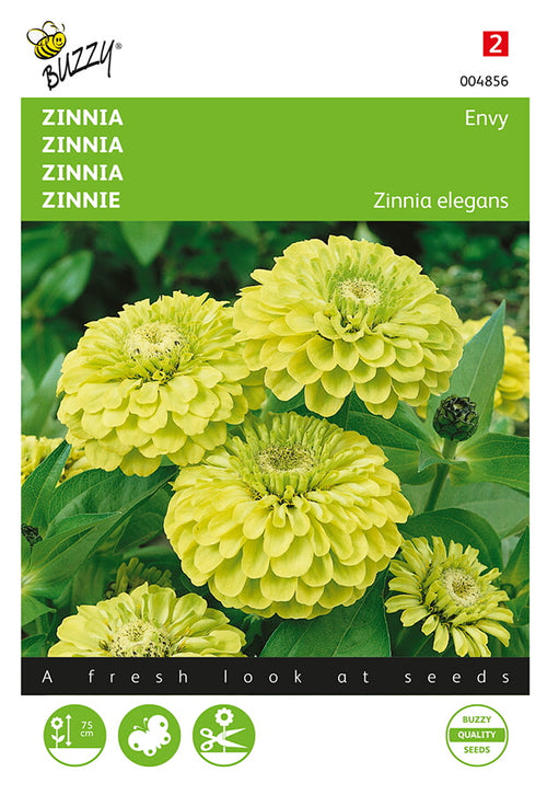 Buzzy Seeds Zinnien Envy