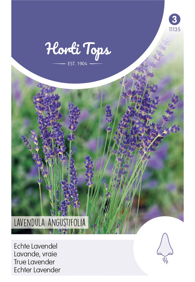 Horti Tops Lavendel Echter Lavendel