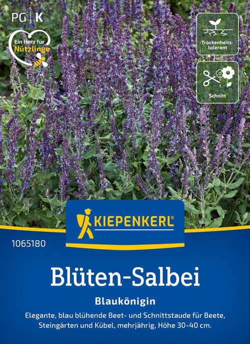 Kiepenkerl Salbei Blaukönigin