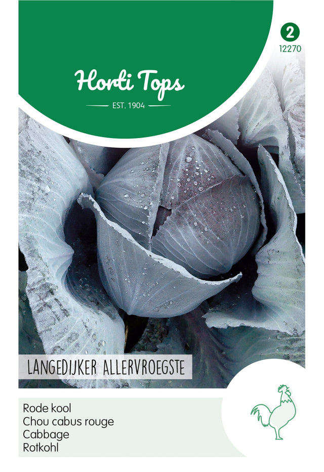 Horti Tops Rotkohl Langedijker Allervroegste