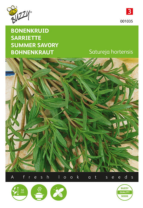 Buzzy Seeds Bohnenkraut Einjährig