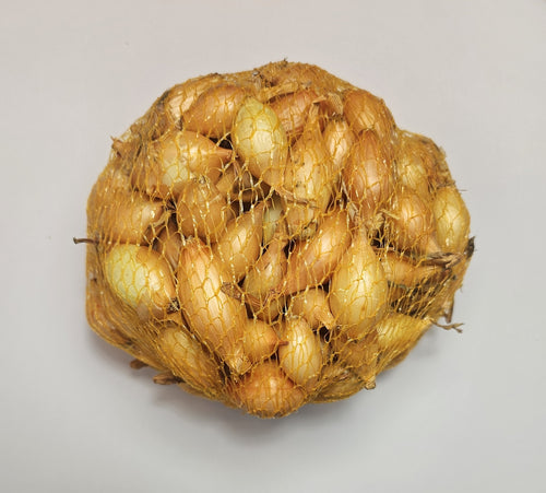 Samen Pfann Steckzwiebeln Sturon 14/21 500g