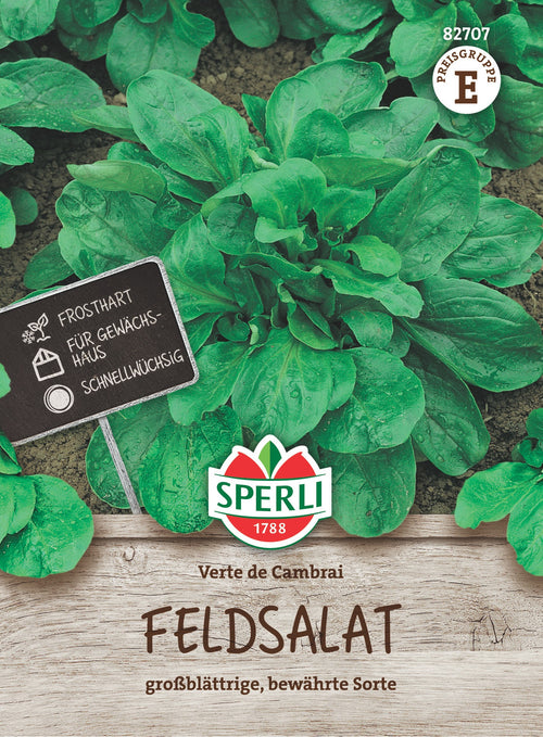 SPERLI Feldsalat Verte de Cambrai