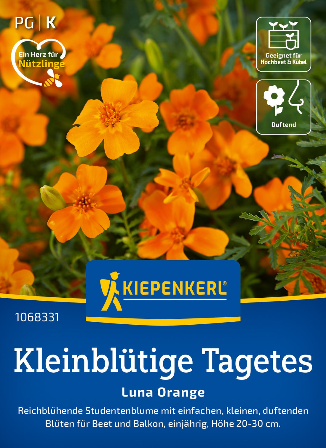 Kiepenkerl Studentenblumen Luna Orange