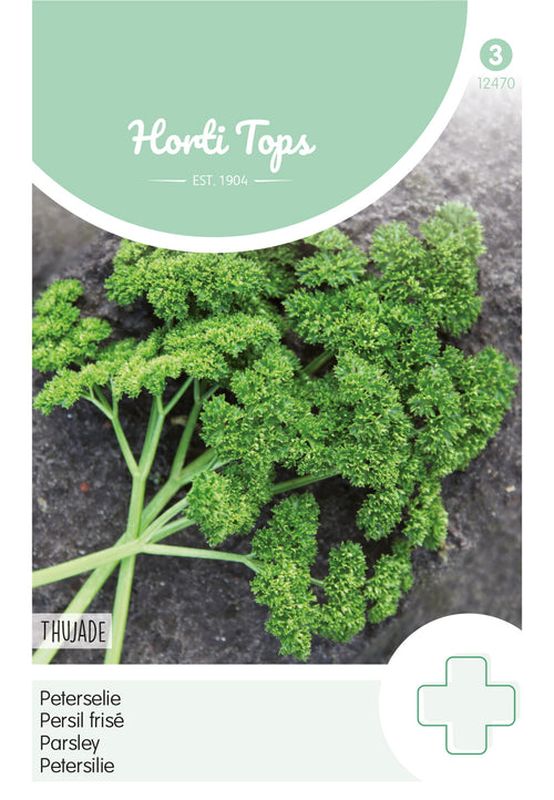Horti Tops Petersilie Thujade Dunkelgrüne Krause