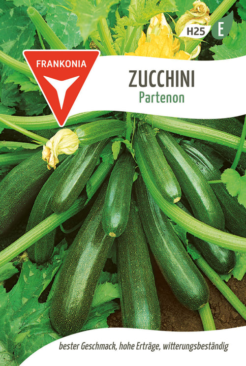 Frankonia Samen Zucchini Partenon