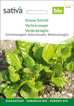 Sativa Schnittmangold Grüner Schnitt