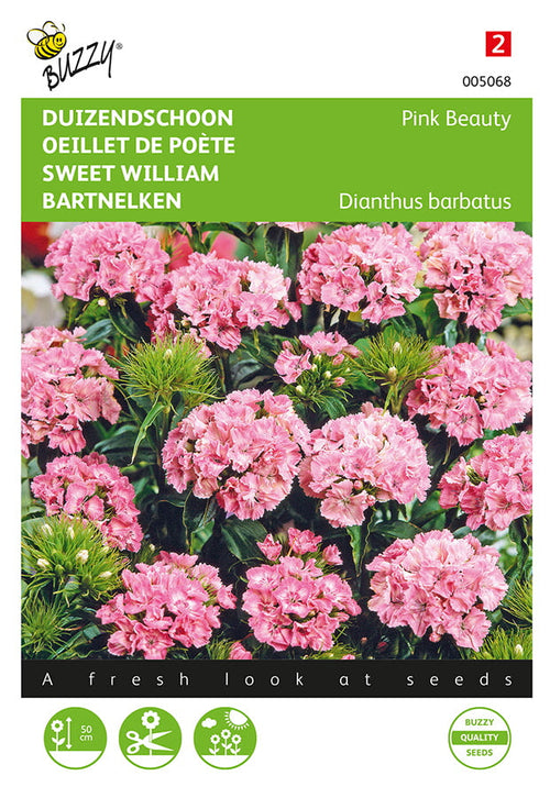 Buzzy Seeds Bartnelken Pink Beaty