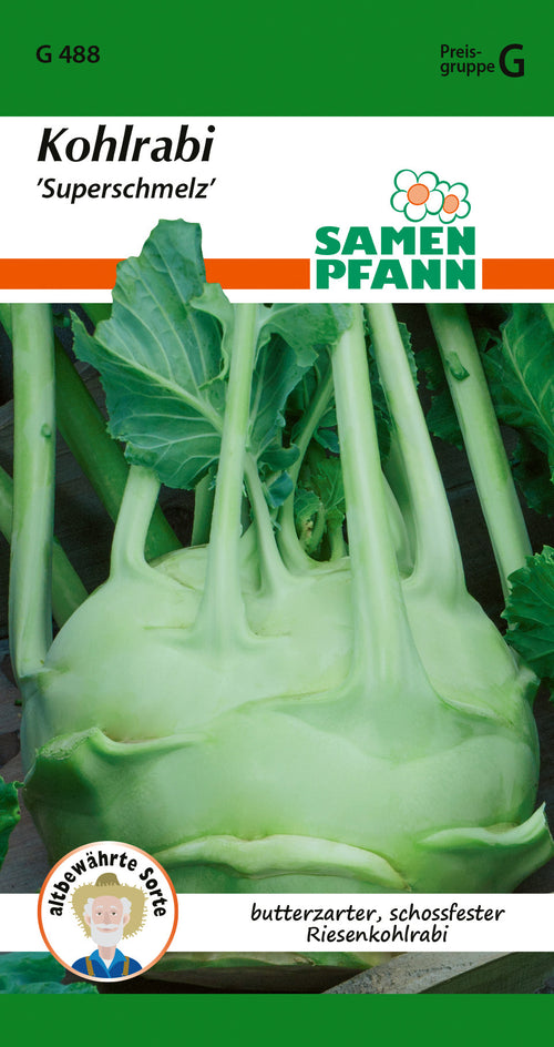 Samen Pfann Kohlrabi Superschmelz