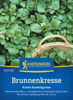 Kiepenkerl Brunnenkresse Echte Dunkelgrüne
