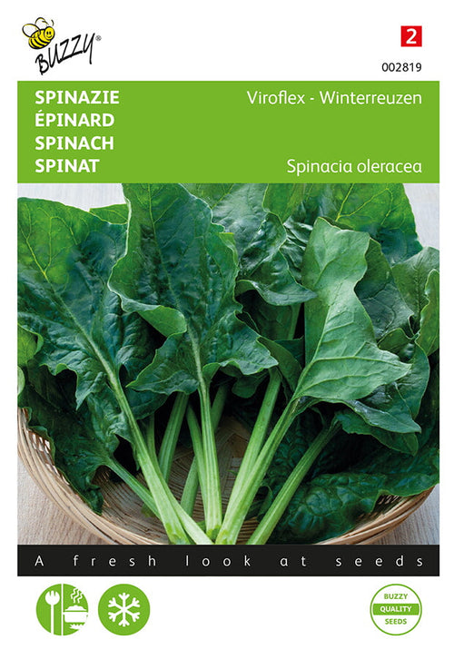 Buzzy Seeds Spinat Winterriesen