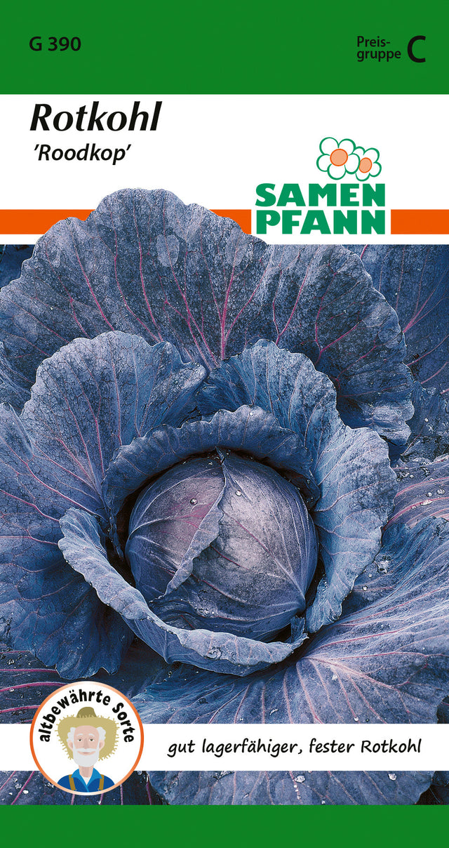 Samen Pfann Rotkohl Roodkop