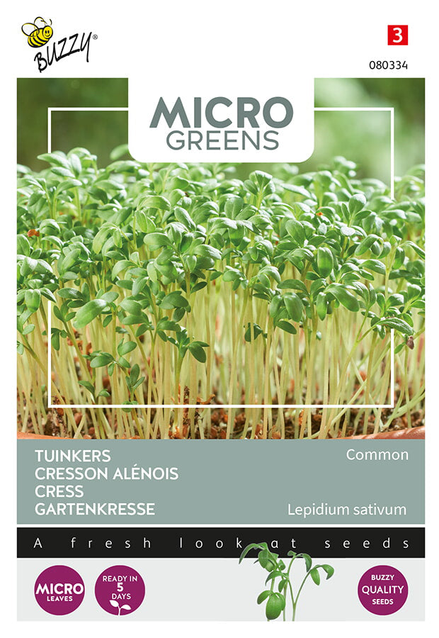Buzzy Seeds Microgreens Gartenkresse Einfache