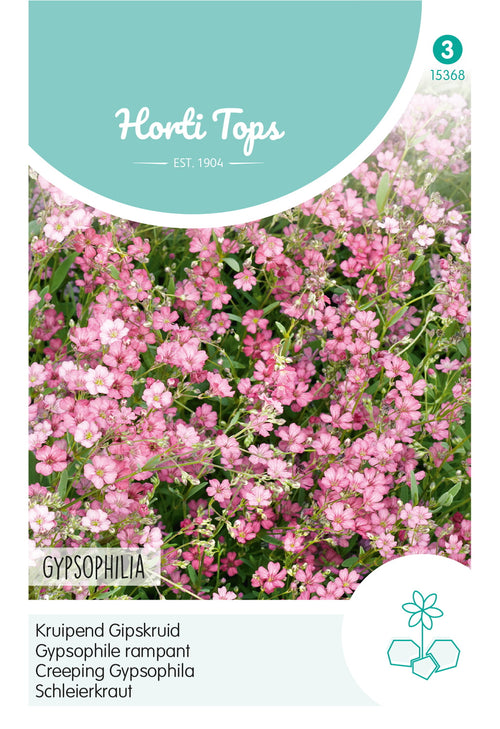Horti Tops Schleierkraut Repens, Rosa