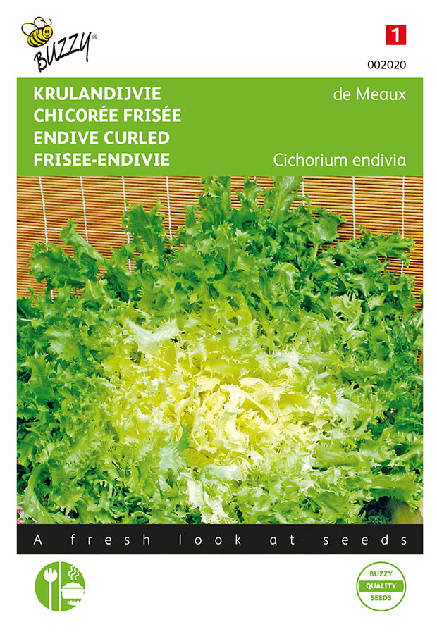Buzzy Seeds Endiviensalat de Meaux Krause