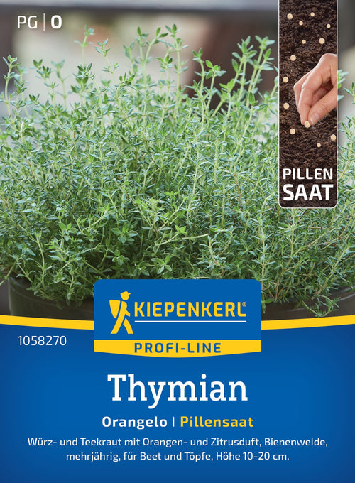 Kiepenkerl Thymian Orangelo Pillensaat