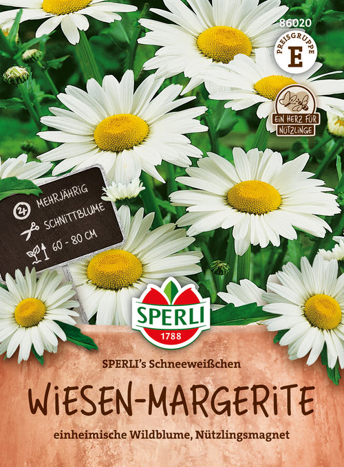 SPERLI Wiesen-Margeritensamen SPERLI's Schneeweißchen