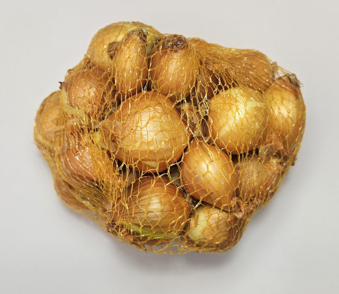Samen Pfann Pflanzschalotten 22/44 250g