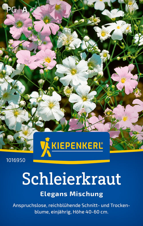 Kiepenkerl Schleierkraut Elegans Mischung