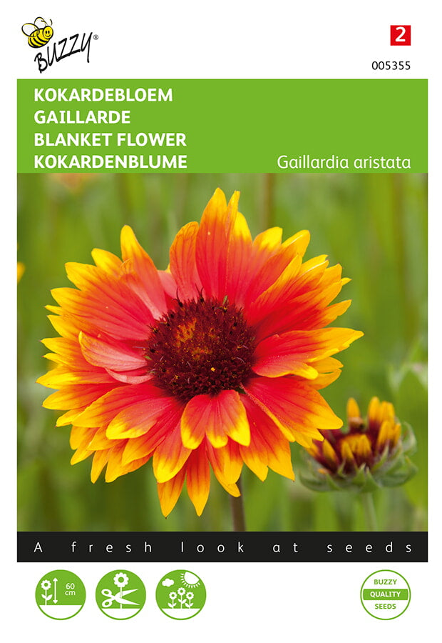 Buzzy Seeds Kokardenblumen