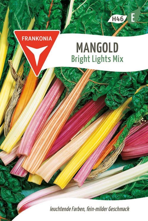 Frankonia Samen Mangold Bright Lights Mix