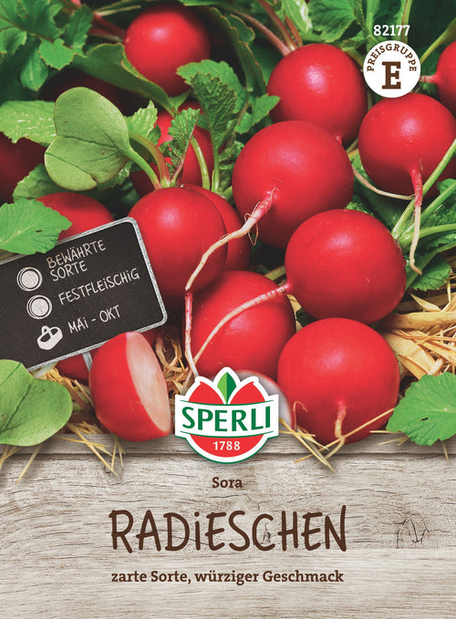 SPERLI Radieschen Sora