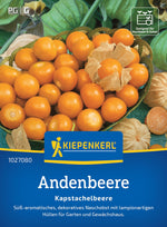 Kiepenkerl Physalis Kapstachelbeere