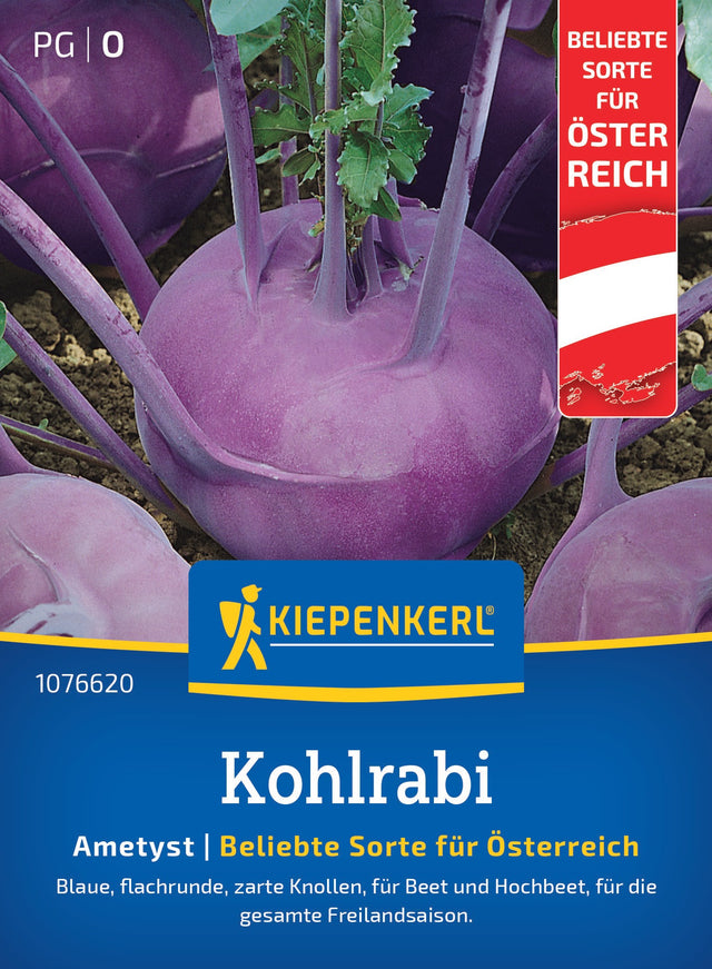 Kiepenkerl Kohlrabi Ametyst Österreich Sorte
