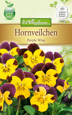 N.L. Chrestensen Hornveilchen Purple Wing