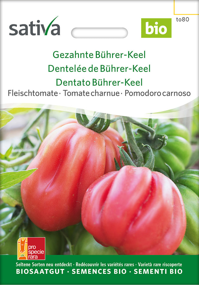 Sativa Fleischtomate Gezahnte Bührer-Keel