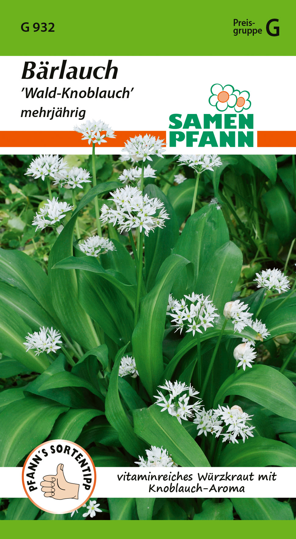 Samen Pfann Bärlauch Wald-Knoblauch Mehrjährig