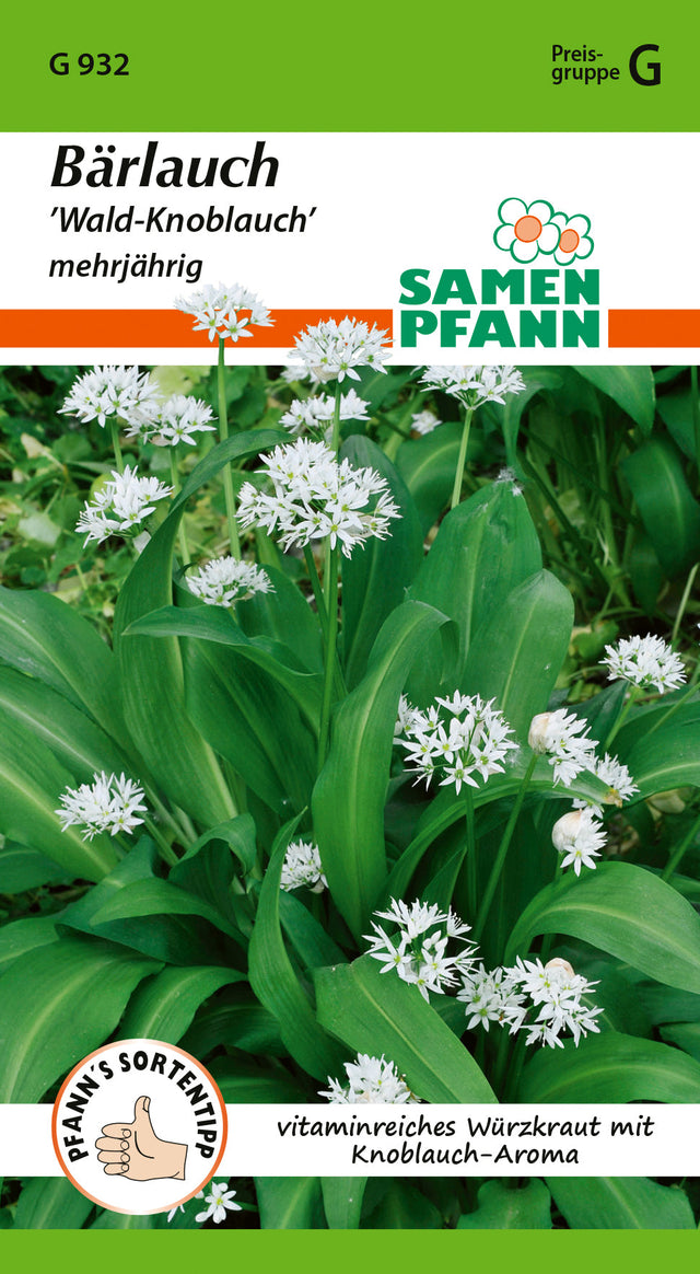 Samen Pfann Bärlauch Wald-Knoblauch Mehrjährig