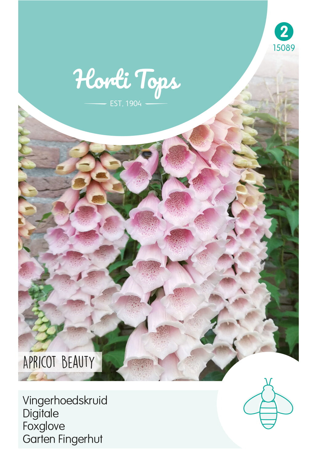 Horti Tops Fingerhut Apricot Beauty