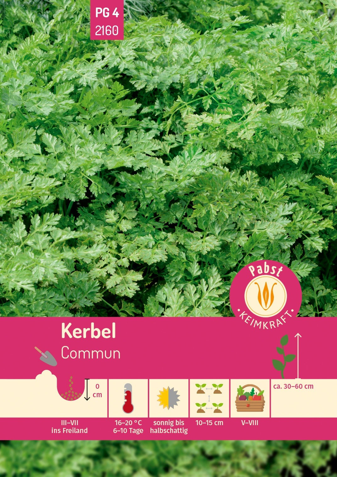 Pabst Keimkraft Kerbel Commun