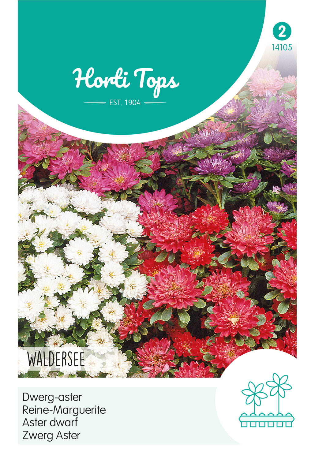 Horti Tops Sommeraster Norddeutsche Waldersee Mischung