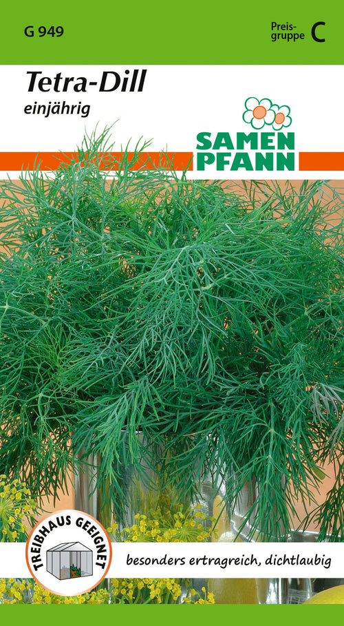 Samen Pfann Tetra-Dill Einjährig