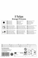 Gefüllte späte Tulpe Orange Princess