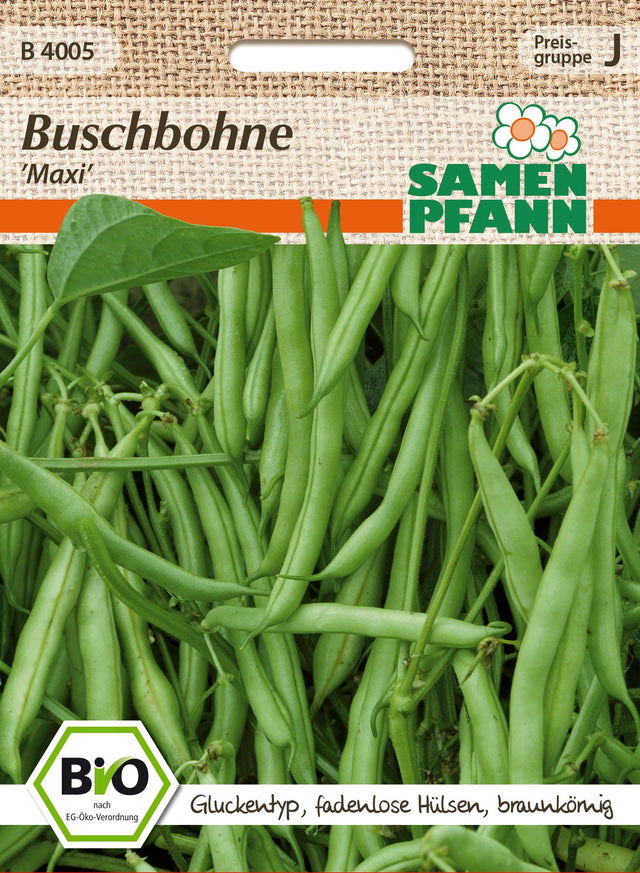 Samen Pfann BIO Buschbohne Maxi