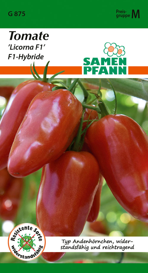 Samen Pfann Tomate Licorna F1