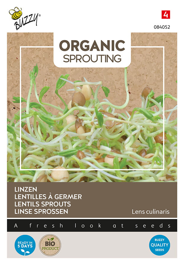 Buzzy Seeds BIO Keimsprossen Linse