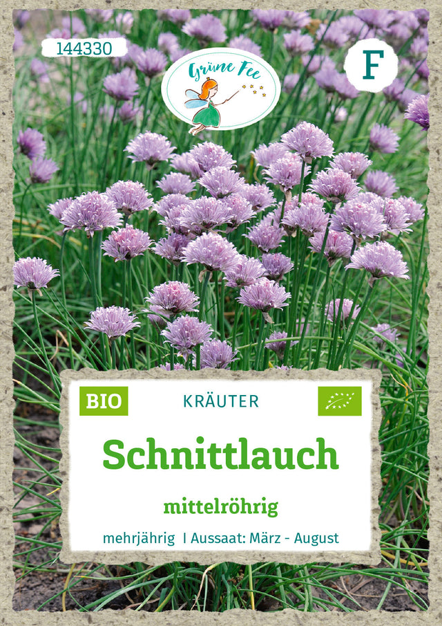 Grüne Fee Schnittlauch mehrjährig, mittelröhrig