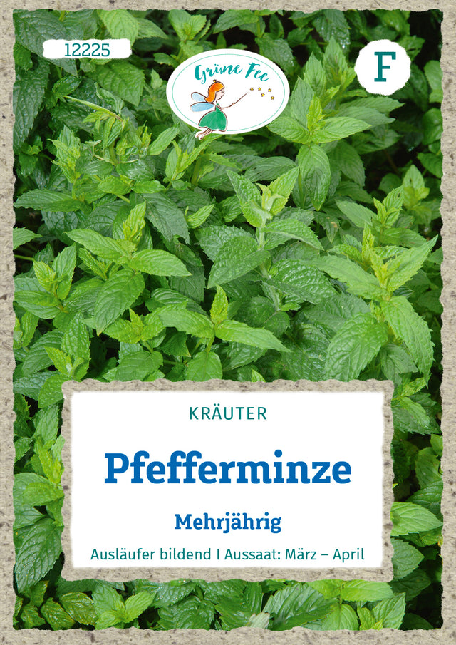 Grüne Fee Pefferminze Mehrjährig