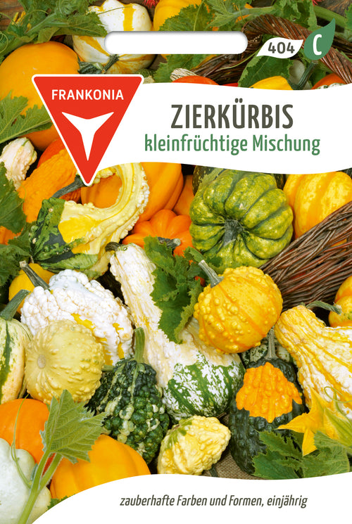 Frankonia Samen Zierkürbis kleinfrüchtige Mischung